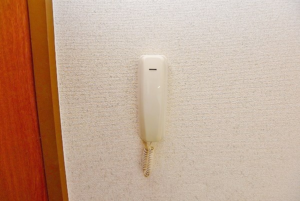 ナーセリーＹ  その他3