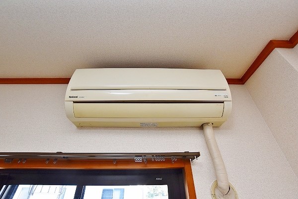 ナーセリーＹ  その他5