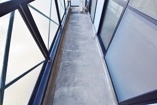 ナーセリーＹ その他41