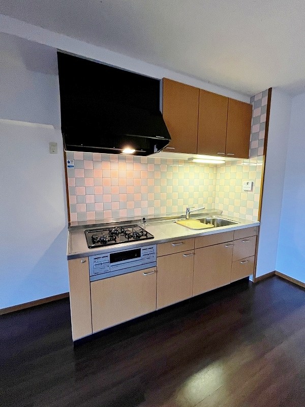 第壱上野マンション  その他33