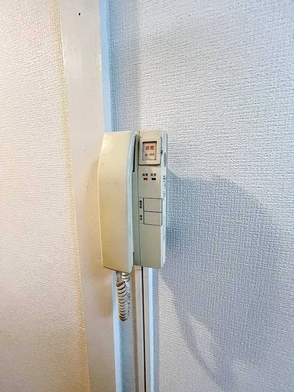 ルミナス  その他3