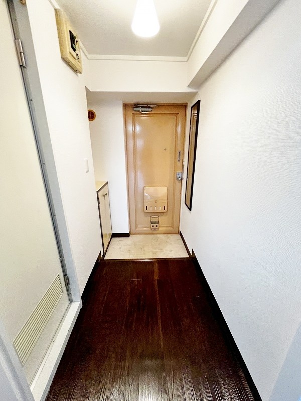 ルミナス  その他12