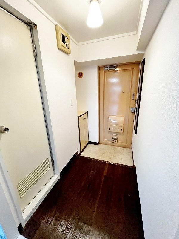 ルミナス  その他13