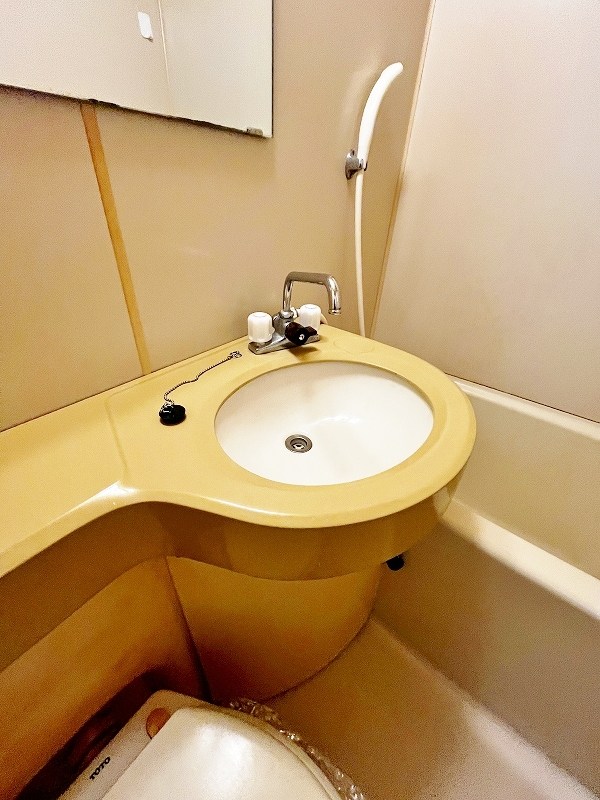 ルミナス  その他1