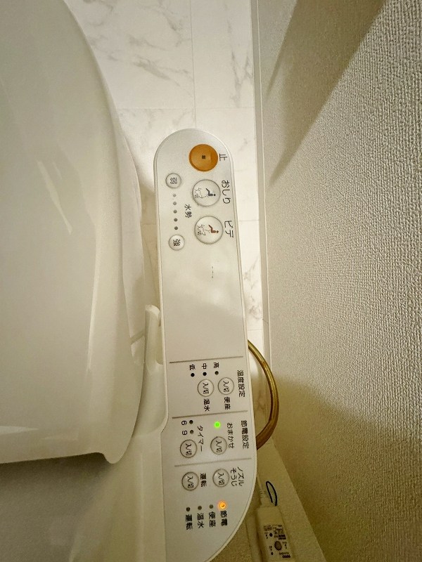 Ｐｌａｔｉｎｕｍ　Ｓｔｙｌｅ（プラチナスタイル)  その他12