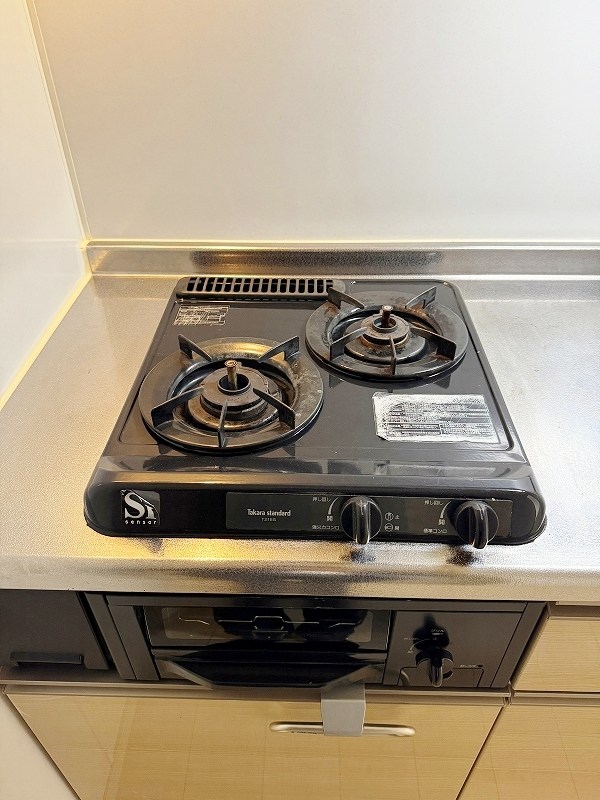 Ｐｌａｔｉｎｕｍ　Ｓｔｙｌｅ（プラチナスタイル)  その他21