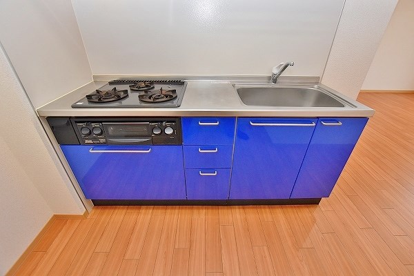 フォレスト妙見 キッチン