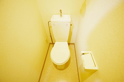 デザイナープリンセス３３ その他4