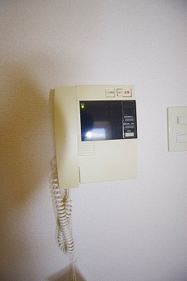 デザイナープリンセス３３ その他10