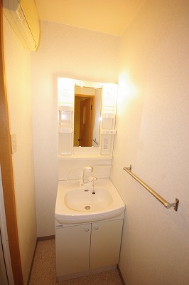 デザイナープリンセス３３ その他2