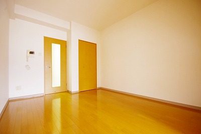 デザイナープリンセス３３ その他13