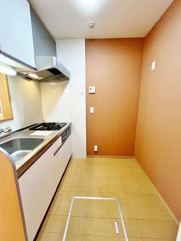 グレイストレビナ赤坂 その他20