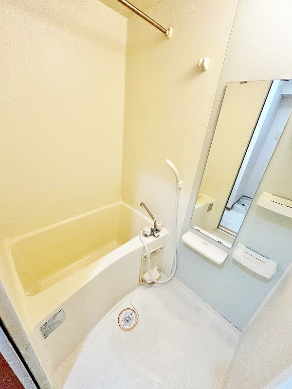 エヴァーグリーンＮ その他8