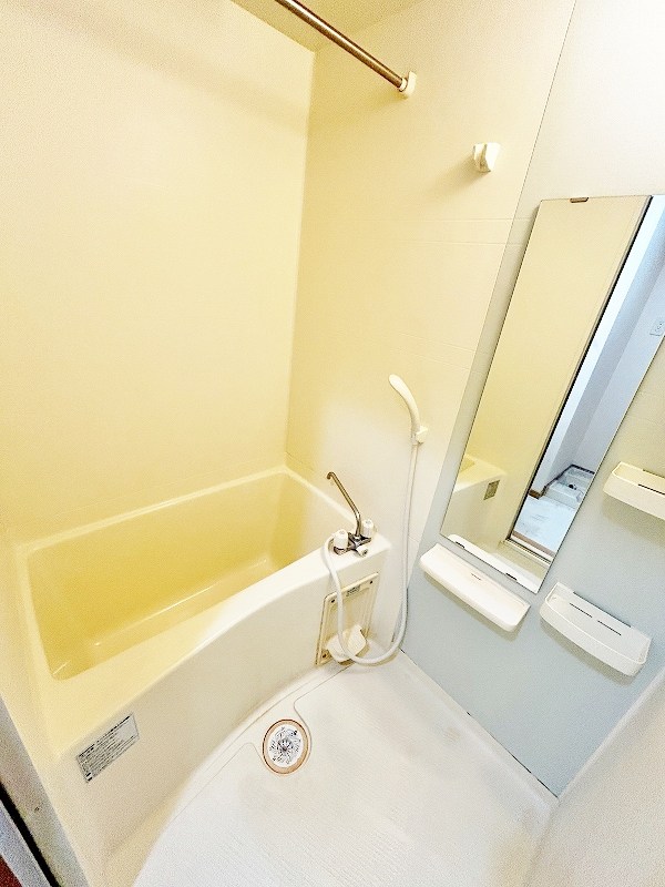 エヴァーグリーンＮ その他18