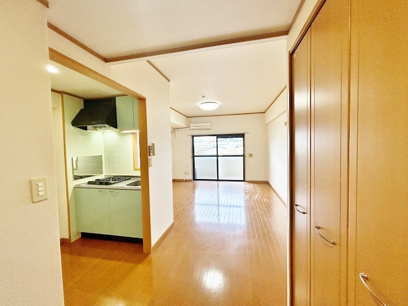 エヴァーグリーンＮ その他23