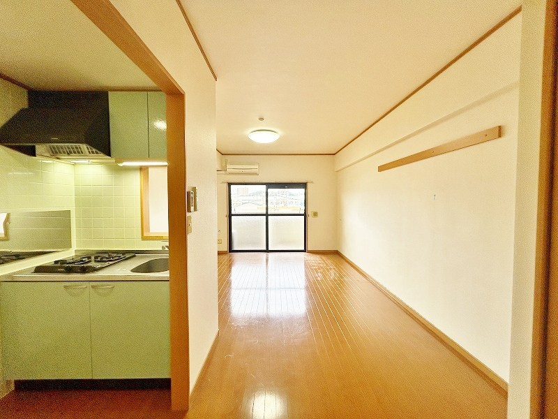 エヴァーグリーンＮ その他24