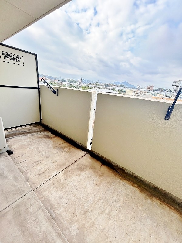 エヴァーグリーンＮ その他40