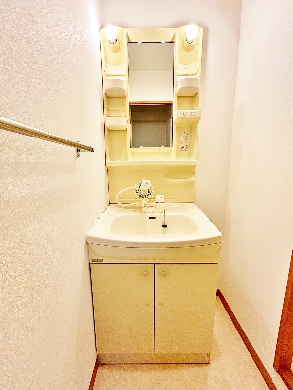 デザイナープリンセス３３ その他1