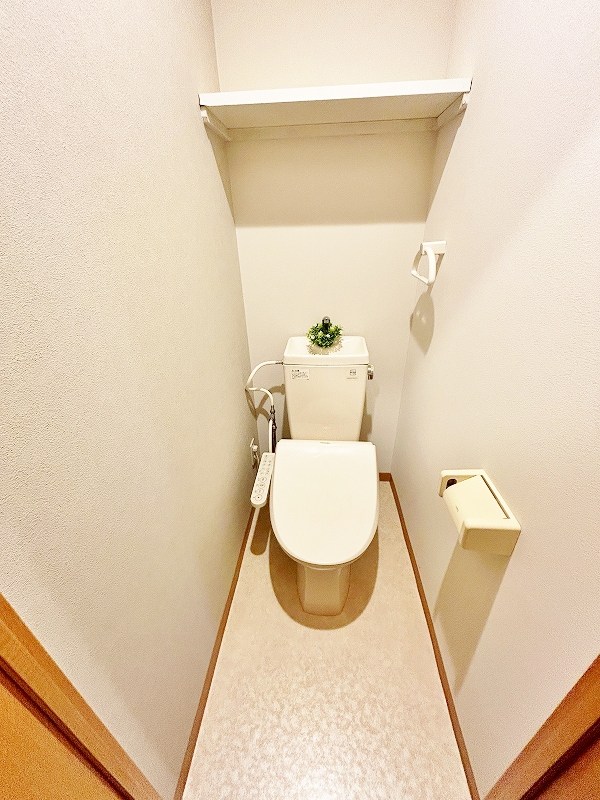 デザイナープリンセス３３ その他2