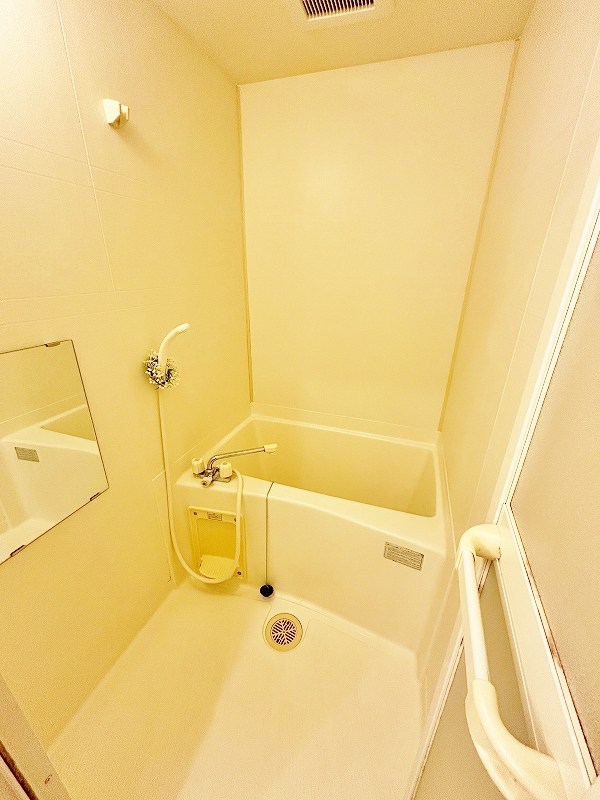 デザイナープリンセス３３ その他8