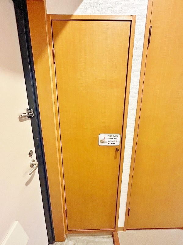 デザイナープリンセス３３ その他12