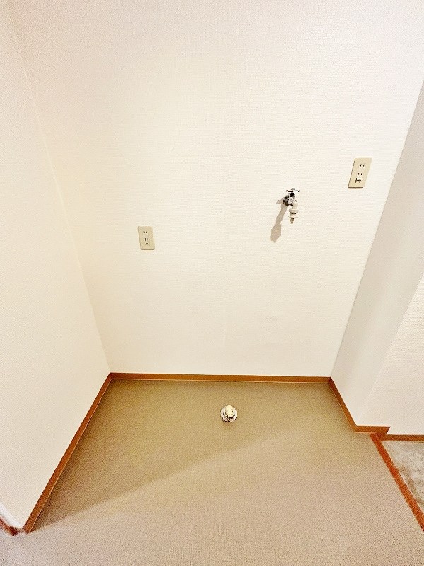 デザイナープリンセス３３ その他13