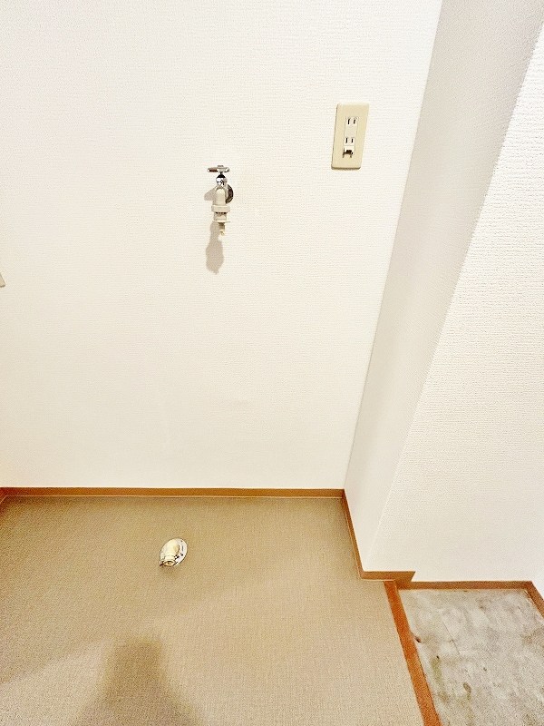 デザイナープリンセス３３ その他14