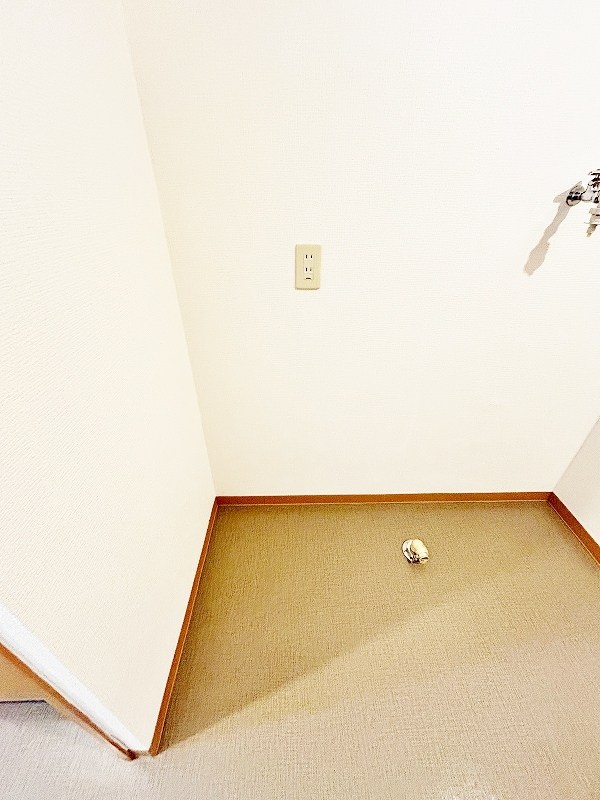 デザイナープリンセス３３ その他15