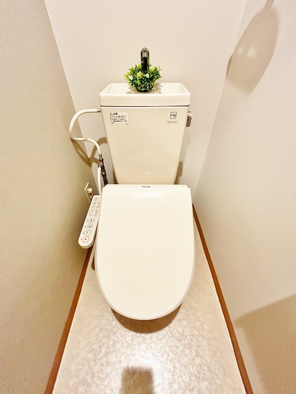 デザイナープリンセス３３ その他16