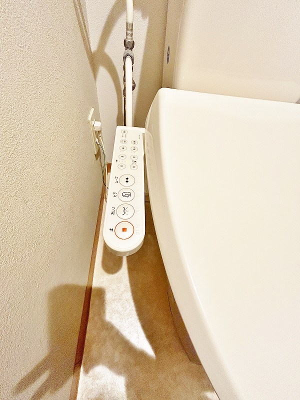 デザイナープリンセス３３ その他17