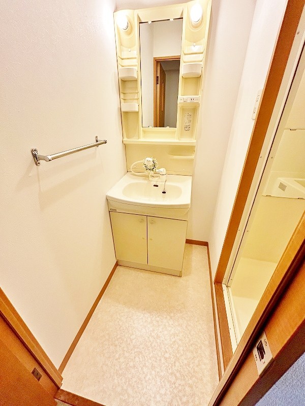 デザイナープリンセス３３ その他18