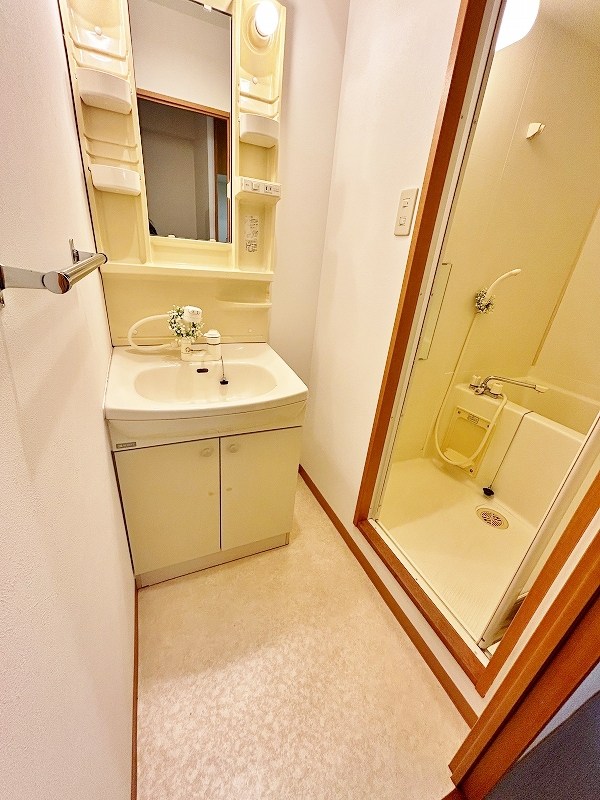 デザイナープリンセス３３ その他19