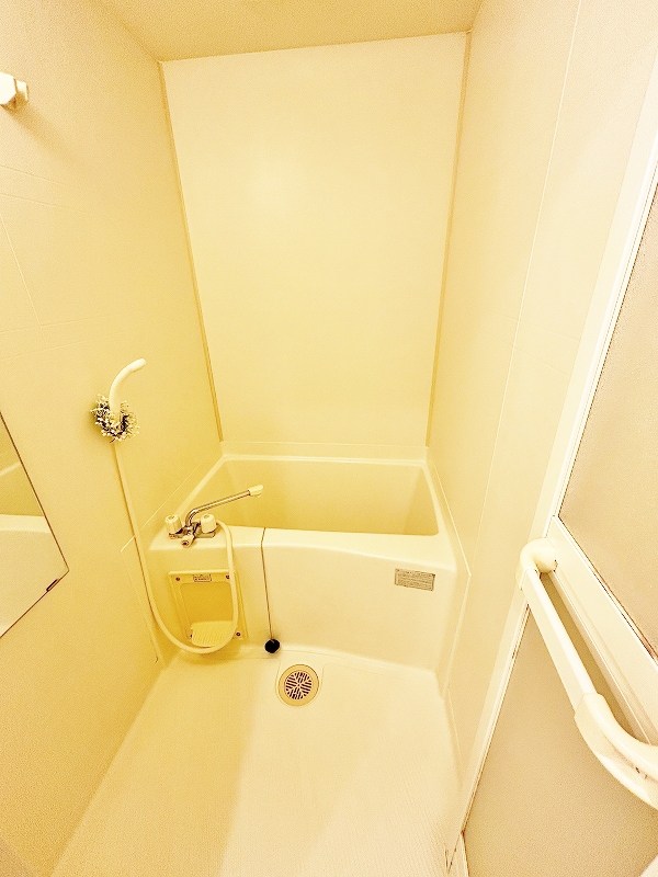 デザイナープリンセス３３ その他20