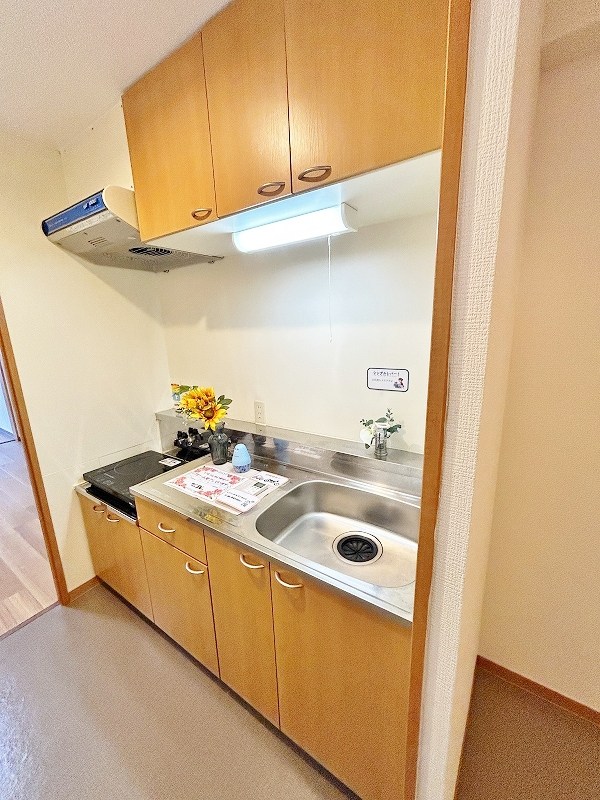 デザイナープリンセス３３ キッチン