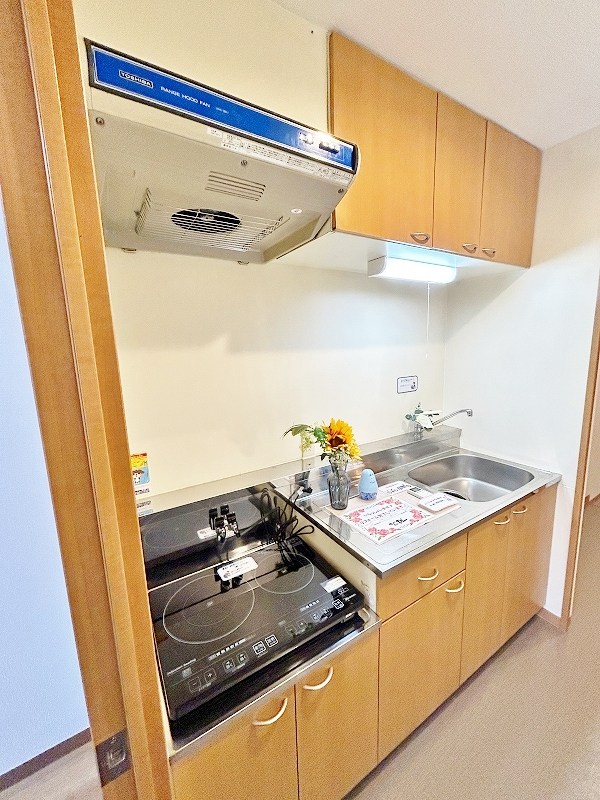 デザイナープリンセス３３ その他22