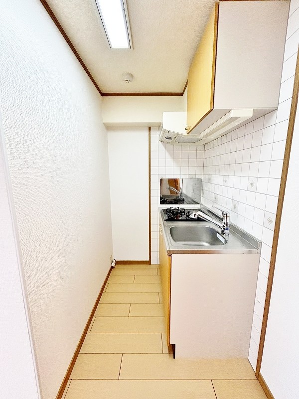 クルーズ・グラン・セレスト その他23