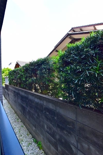 高峰第６晴和ビル その他40