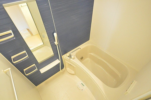 ラインハイム足立山Ｄ  風呂画像