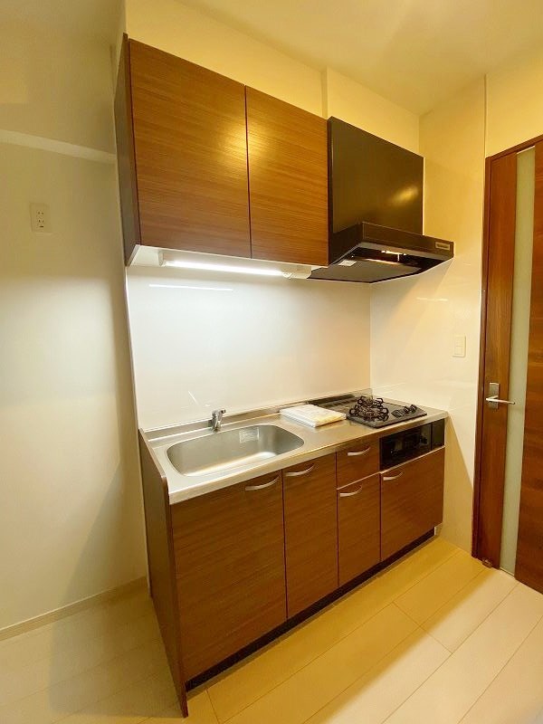 THE SQUARE Platinum Residence（ザ・スクエアプラチナレジデンス） その他21