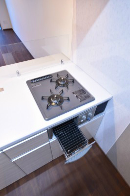 ギャラクシーヴィーラブライト その他8