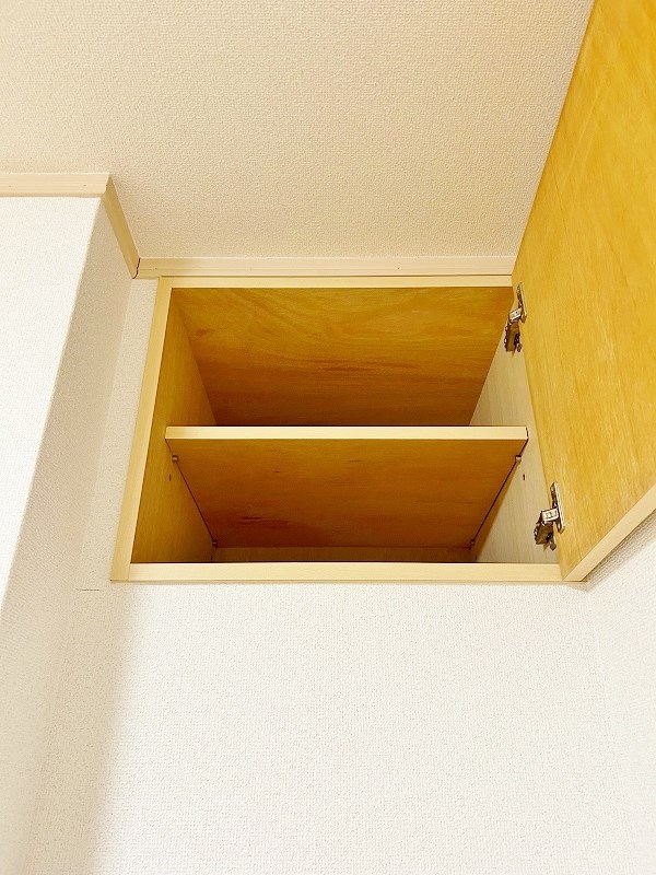 プチロゼ その他27