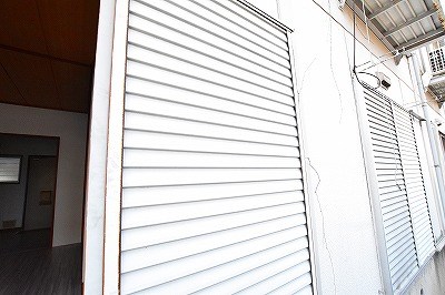 パナハイツカトレア  その他1