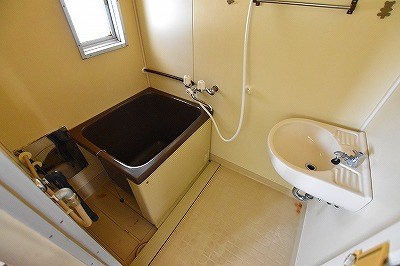 パナハイツカトレア  その他2