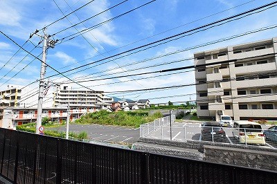 パナハイツカトレア  その他6