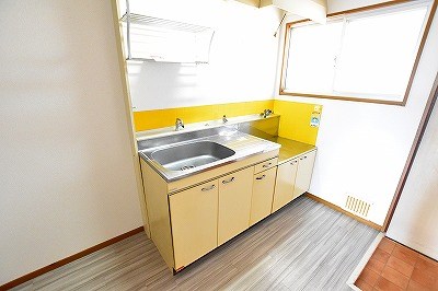 パナハイツカトレア  その他10