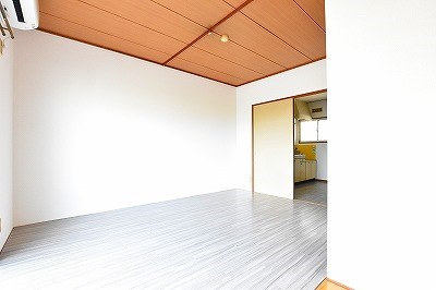 パナハイツカトレア  その他12