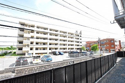 パナハイツカトレア  その他15