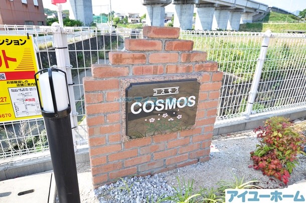 コスモス  その他外観5