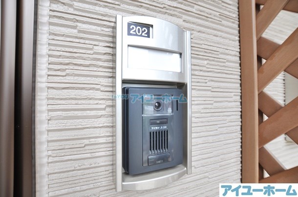 コスモス  その他9