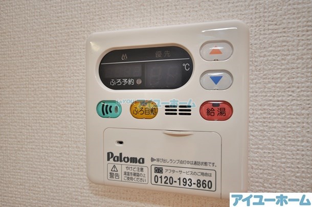 コスモス  その他17